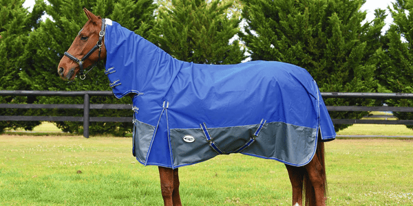 How to fit a horse rug with belly surcingles