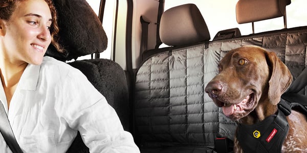 A Product Guide for Travelling with a Dog in the Car