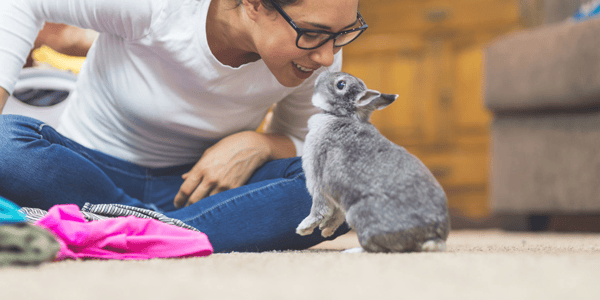The essential health products for pet rabbits